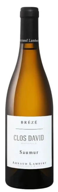 ARNAUD LAMBERT (SAINT-JUST-SUR-DIVE) CLOS DAVID, Monopole, Blanco, 2019, Saumur. Imagen de botella