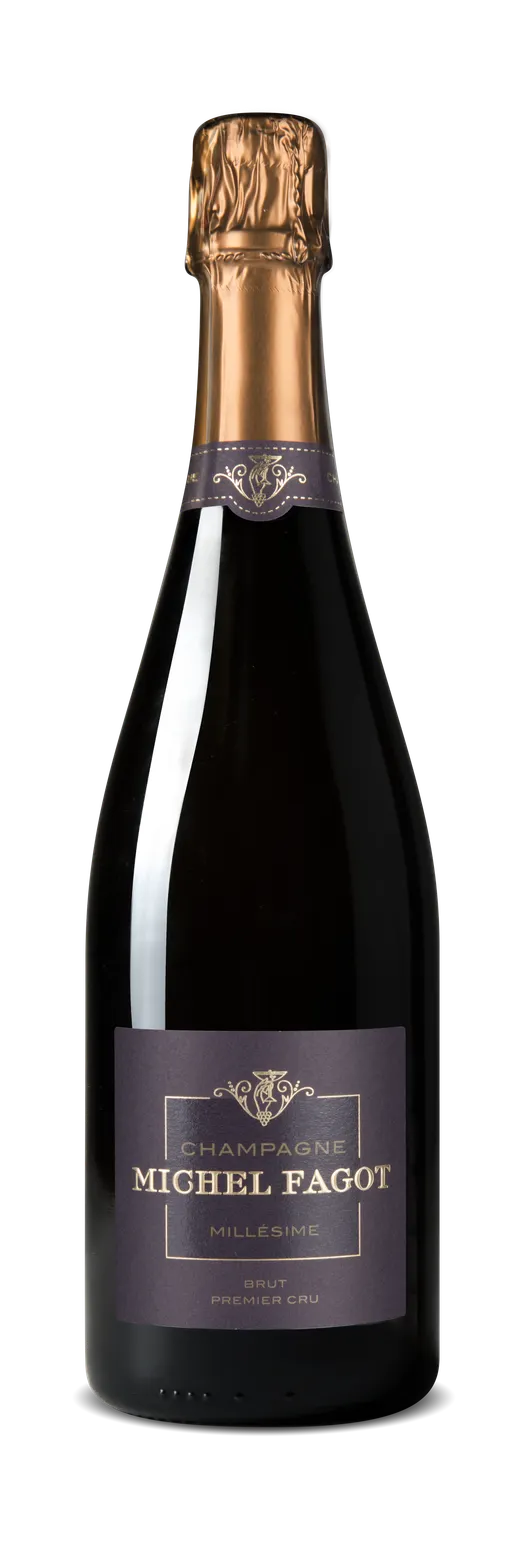 SAS CHAMPAGNE MICHEL FAGOT CHAMPAGNE MICHEL FAGOT, MILLÉSIME 2008, White, 2008, Champagne premier cru. Bottle image