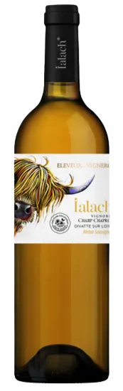EARL SUTEAU OLLIVIER IALACH, Ialach - Melon/Sauvignon - Vin de France, Bianco, 2023. Immagine della bottiglia