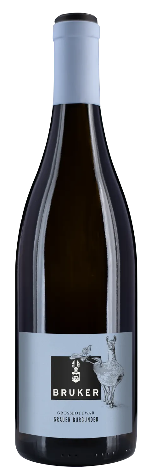 Bruker, Grossbottwar Grauburgunder, Blanc, 2019. Image de la bouteille