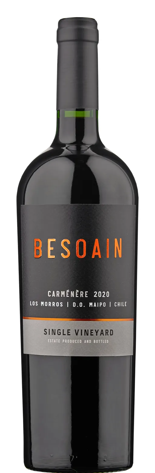 BESOAIN WINES BESOAIN Single Vineyard, Maipo Andes, Rouge, 2020, Valle del Maipo. Image de la bouteille