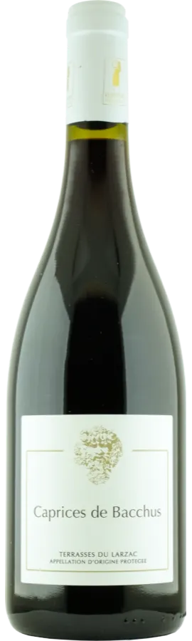 TERRE DES 2 SOURCES, Rosso, 2018, Terrasses du Larzac. Immagine della bottiglia