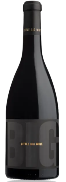 JOSEPH CASTAN LITTLE BIG WINE BY JOSEPH CASTAN, Red, 2019, Costières de Nîmes. Bottle image