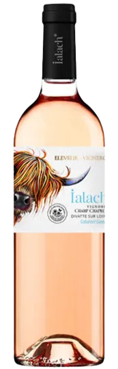 EARL SUTEAU OLLIVIER Domaine du Champ Chapron, Ialach rosé (Cabernet - Gamay), Rosé, 2021. Image de la bouteille