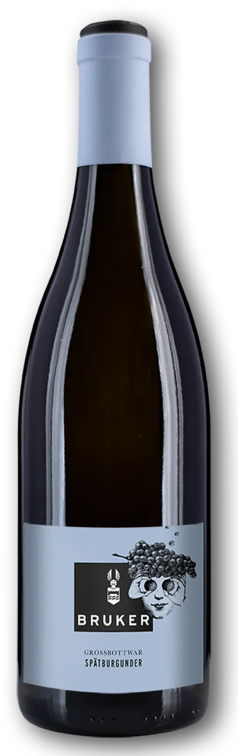 Bruker, Grossbottwar Spätburgunder, Red, 2017. Bottle image