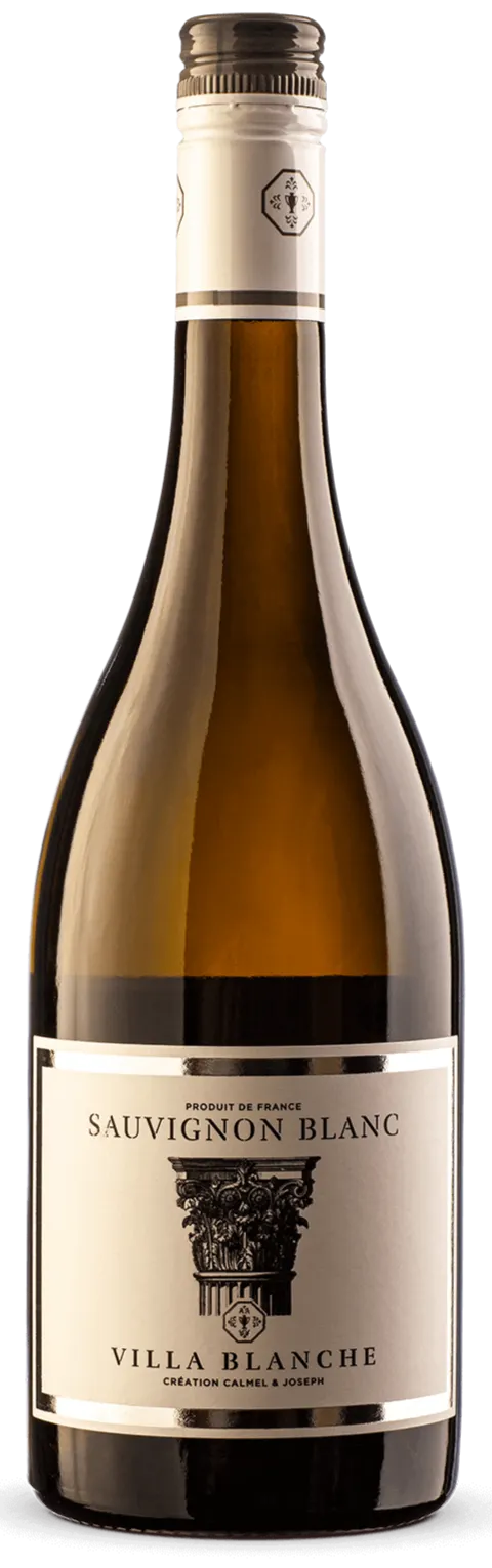 SCEA LA MADONE (MONTIRAT) Villa Blanche, Sauvignon Blanc, Bianco, 2021, Pays d'Oc. Immagine della bottiglia