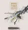 Clos de Luz Massal 1945, Cabernet Sauvignon, Rouge, 2020, Valle del Rapel. Étiquette