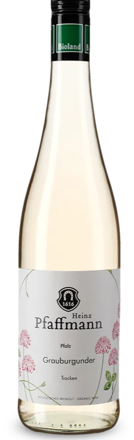 1616 Heinz Pfaffmann, Pinot Grigio, Bianco, NV, Pfalz. Immagine della bottiglia