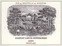 CHATEAU LAFITE ROTHSCHILD (BORDEAUX) Château Lafite-Rothschild, Premier Grand Cru Classé, Red, 2009, Pauillac. Front label