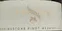 SIMPSONS WINE ESTATE Simpsons, Derringstone Pinot Meunier, White, 2019, English Quality Wine. Front label
