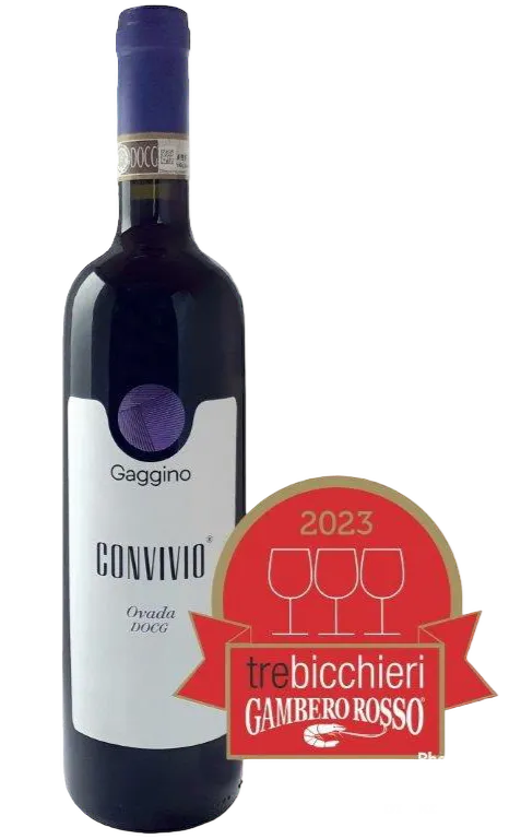 Tenuta Gaggino, Convivio Ovada Docg, Tinto, 2020, Dolcetto di Ovada Superiore / Ovada. Imagen de botella
