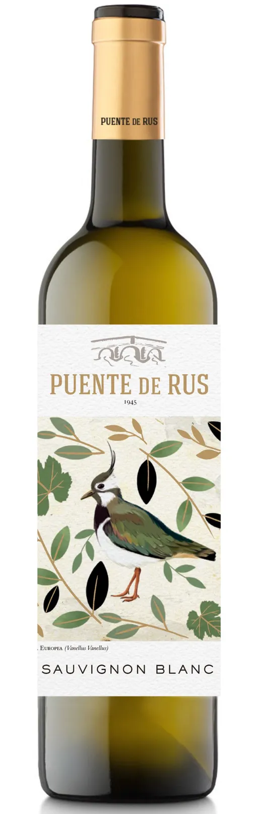 NTRA SRA DE RUS S.C. DE C-LM Puente de Rus Sauvignon Blanc, Blanc, 2022, La Mancha. Image de la bouteille
