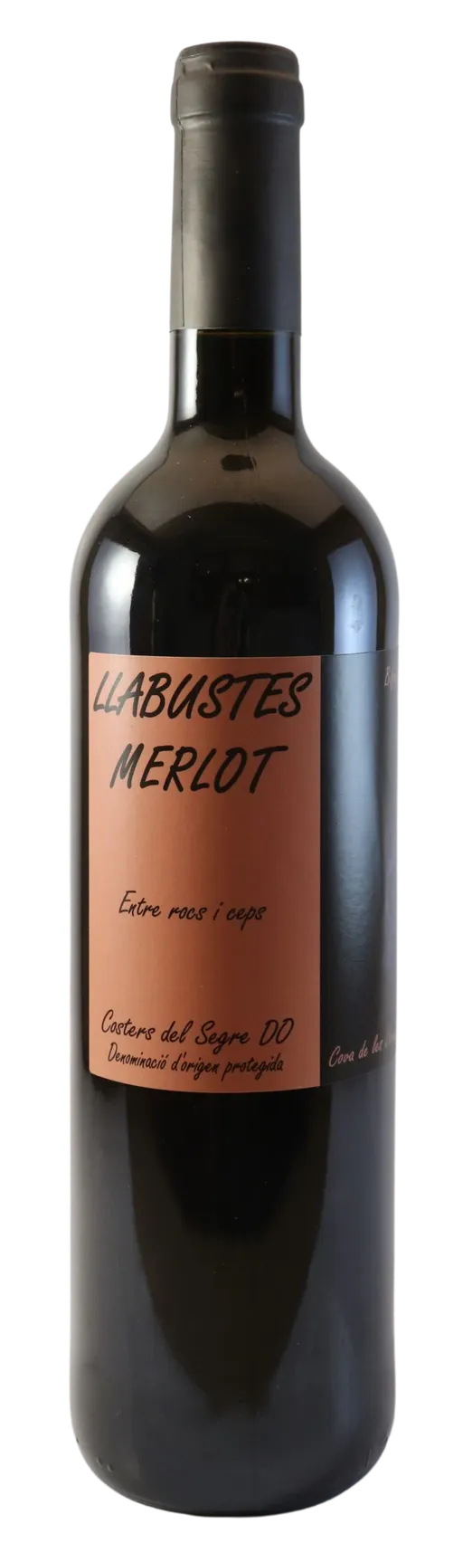 BODEGAS VILA CORONA SL LLABUSTES, Red, 2020, Costers del Segre. Bottle image