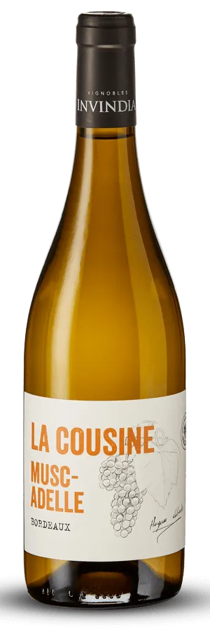 Scea château Haut-Meyreau La Cousine, Bianco, 2021, Bordeaux. Immagine della bottiglia