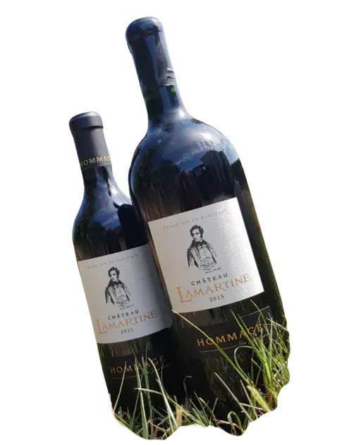 MAISON LAMARTINE (SAINT PHILIPPE d'AIGUILLE) Hommage, Rosso, 2019, Côtes de Bordeaux Castillon. Immagine della bottiglia