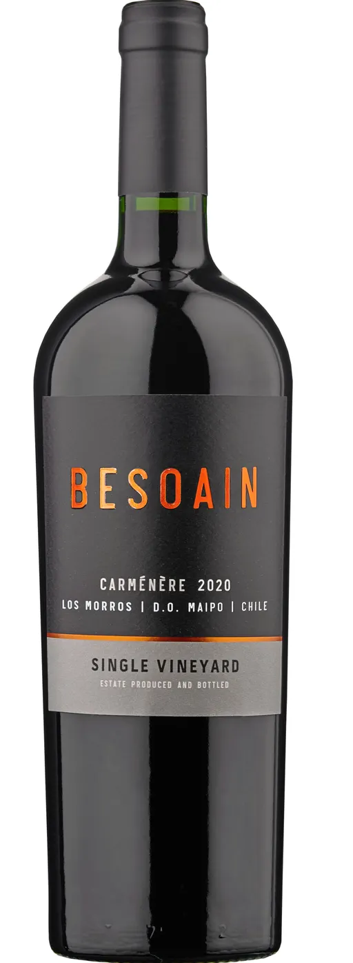 BESOAIN WINES BESOAIN, Single Vineyard Maipo Andes, Red, 2020, Valle del Maipo. Bottle image
