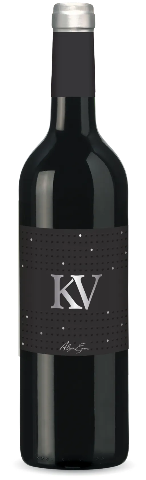 CHATEAU MAISON NEUVE (SAINT-PALAIS) CHATEAU MAISON NEUVE, KV, Rouge, 2019, Côtes de Bordeaux Blaye. Image de la bouteille