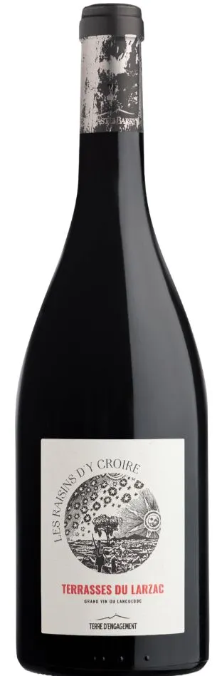 CastelBarry LES RAISINS D'Y CROIRE, Red, 2019, Terrasses du Larzac. Bottle image