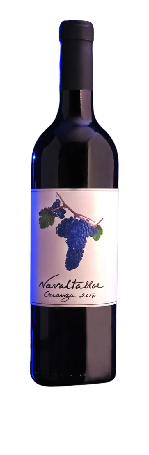 Bodegas Navaltallar NAVALTALLAR, Crianza, Rosso, 2019, Valtiendas. Immagine della bottiglia