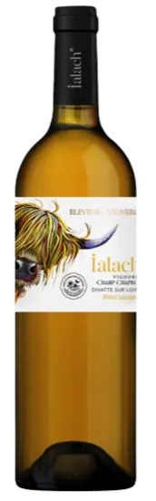 EARL SUTEAU OLLIVIER IALACH, Ialach - Melon/Sauvignon - Vin de France, White, 2023. Bottle image
