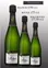 Champagne Météyer Père & Fils, TRADITION, Blanc, NV, Champagne. Image de la bouteille