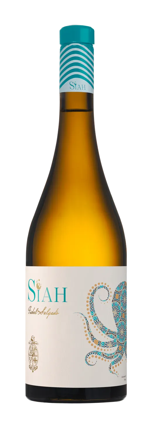ISABEL SALGADO FAMILY ESTATE SOCIEDAD LIMITADA. SIAH, Blanco, 2021, Ribeiro. Imagen de botella
