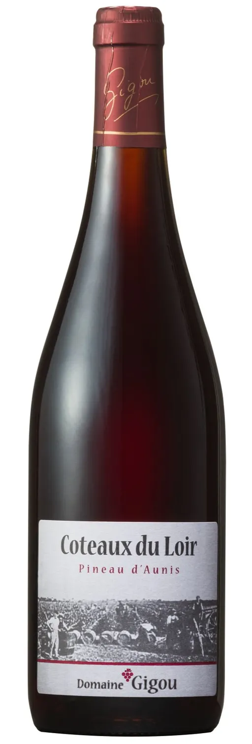 VINS GIGOU Domaine Gigou, PINEAU D'AUNIS, Rot, 2021, Coteaux du Loir. Flaschenabbildung