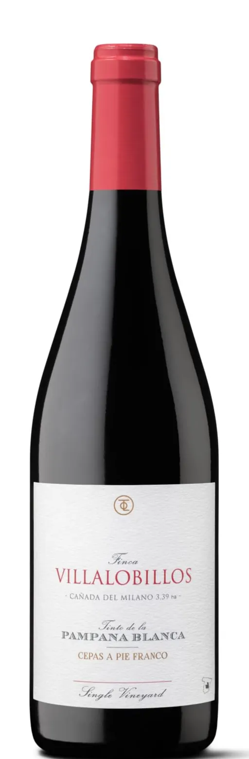 BODEGAS GARCIA DE LARA FINCA VILLALOBILLOS, Tinto de la Pámpana Blanca, Red, 2021, Castilla. Bottle image