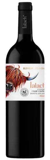 EARL SUTEAU OLLIVIER IALACH, Ialach rouge - Abouriou - Vin de France, Tinto, 2021. Imagen de botella