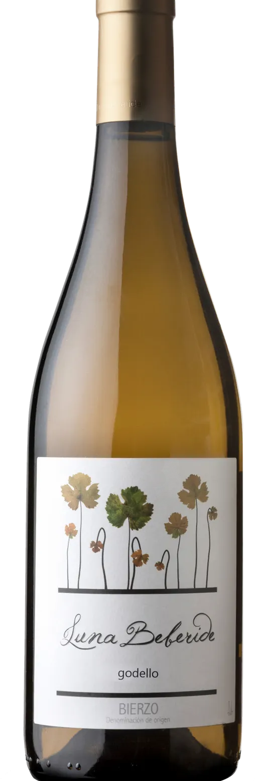 BODEGAS Y VIÑEDOS LUNA BEBERIDE SL Godello Luna Beberide, Blanc, 2021, Bierzo. Image de la bouteille