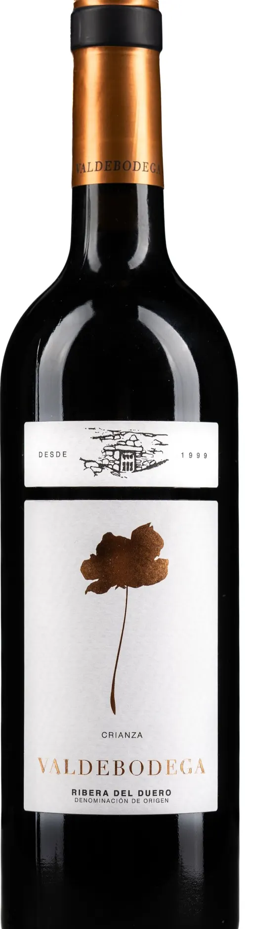 BODEGAS y VIÑEDOS VALDEBODEGA SL VALDEBODEGA CRIANZA, Crianza, Rouge, 2023, Ribera del Duero. Image de la bouteille