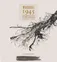 Clos de Luz Massal 1945, Carmenere, Red, 2020, Valle del Rapel. Front label