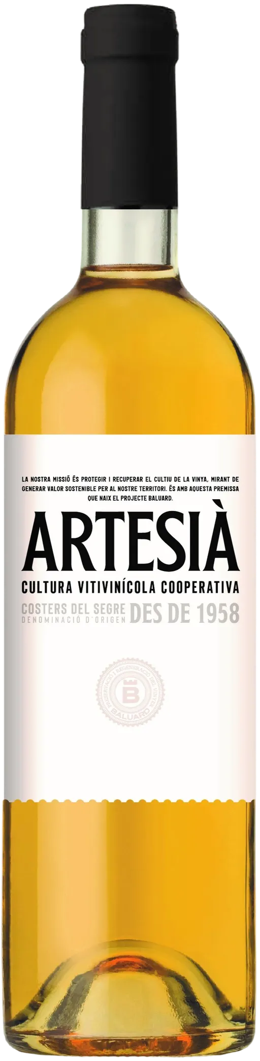 Celler Montsec MONTSEC, ARTESIÀ B, Blanco, 2021, Costers del Segre. Imagen de botella