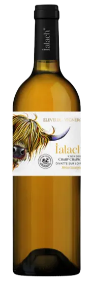 EARL SUTEAU OLLIVIER Domaine du Champ Chapron, Ialach blanc (Melon - Sauvignon), Blanco, 2021. Imagen de botella