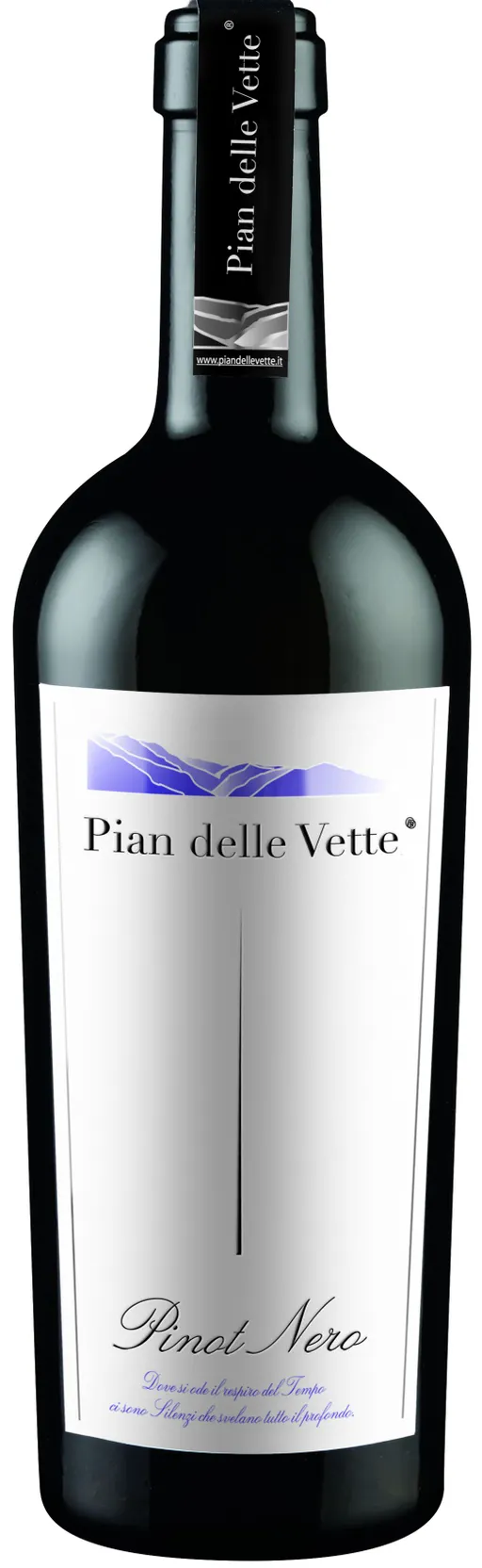 SOCIETA' AGRICOLA PIAN DELLE VETTE SRL PINOT NERO, Red, 2018, Vigneti delle Dolomiti / Weinberg Dolomiten. Bottle image