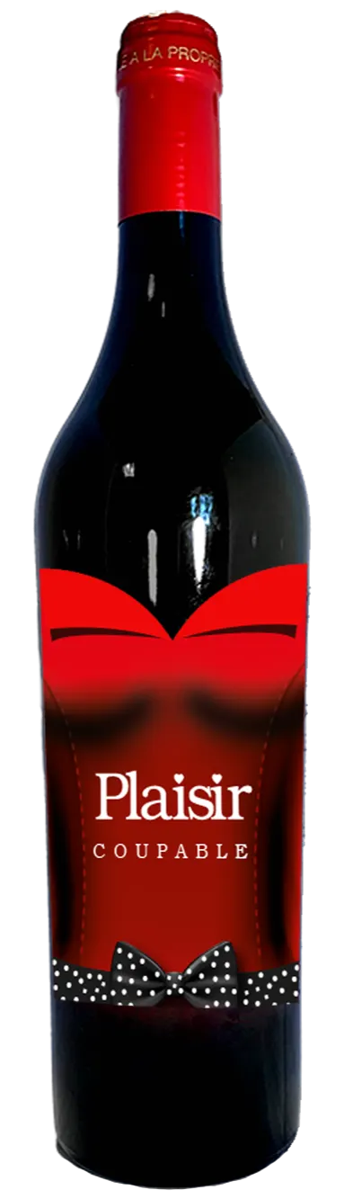 GRANDS CHATEAUX DE FRANCE (SAINT-VINCENT-DE-PERTIGNAS) Plaisir Coupable, Tinto, 2020, Bordeaux supérieur. Imagen de botella