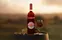 GRANDS CHATEAUX DE FRANCE (SAINT-VINCENT-DE-PERTIGNAS) Flooz, Rosso, NV. Etichetta frontale